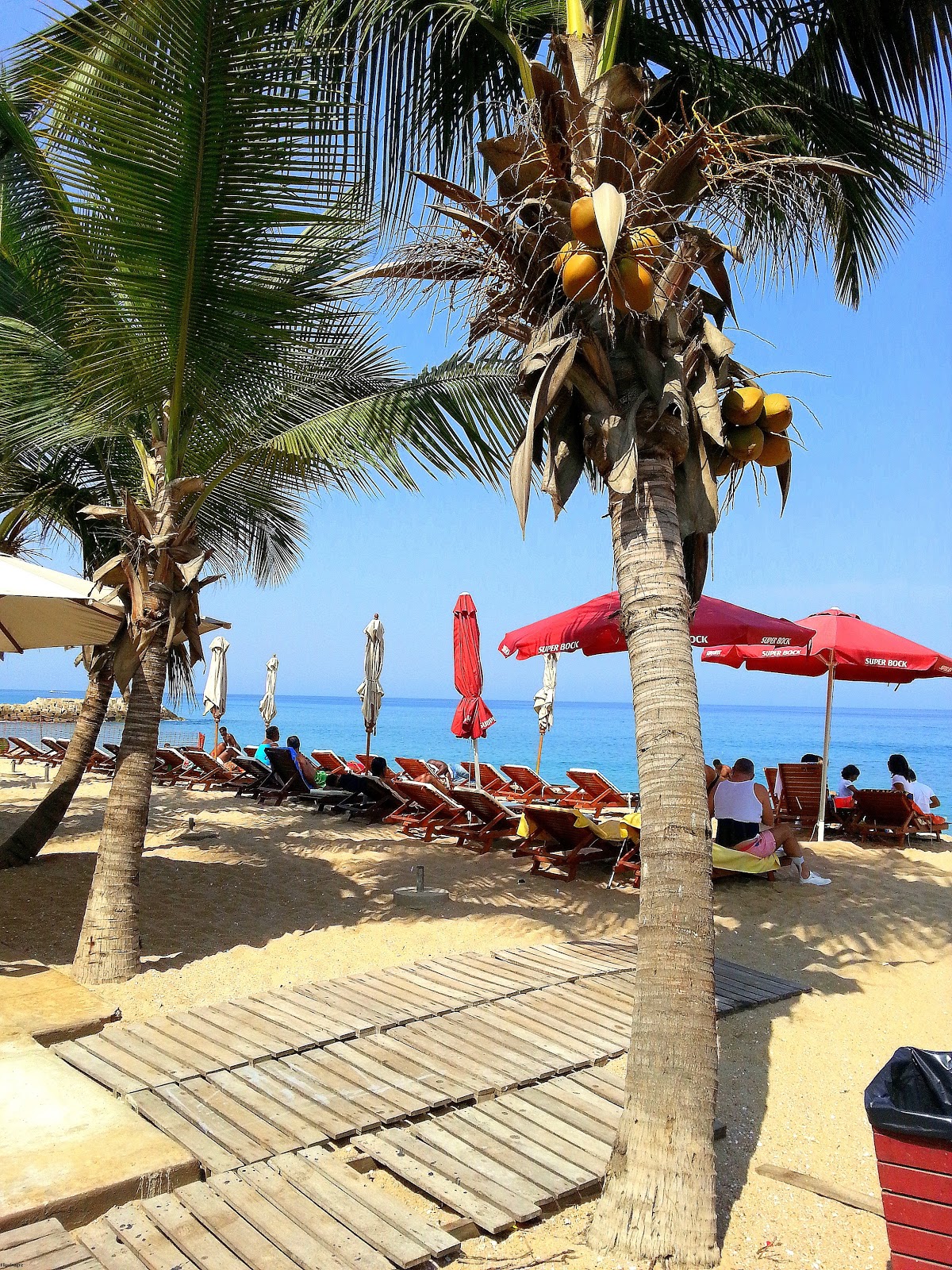 caribe+hoj+jan+2013.jpg