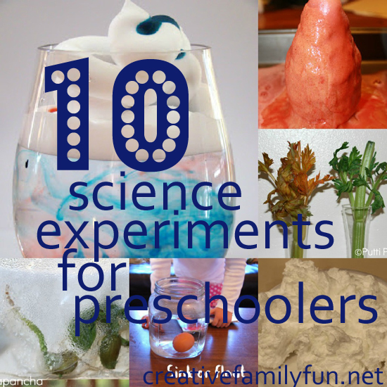 science projects for kindergarten There are many science projects you can do with preschool students that allow them to ask and answer questions and gain an appreciation for science. science projects for kindergarten There are many science projects you can do with preschool students that allow them to ask and answer questions and gain an appreciation for science.