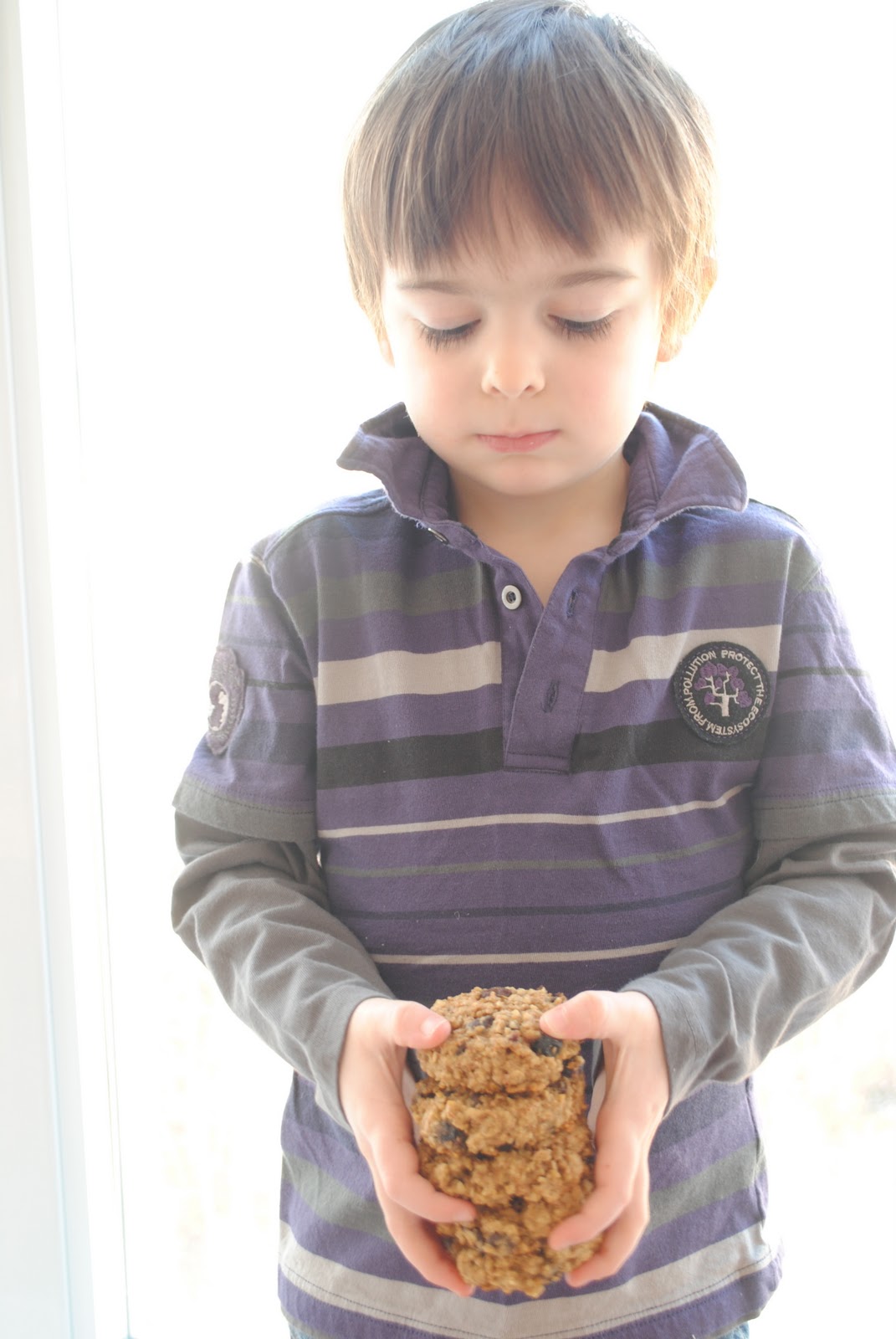 Leanne bakes Quinoa and Oats Breakfast Cookies