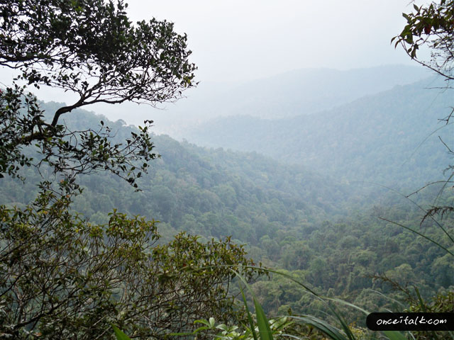 Ruler Aku Dan Gunung Nuang Gunung Tertinggi Di Selangor