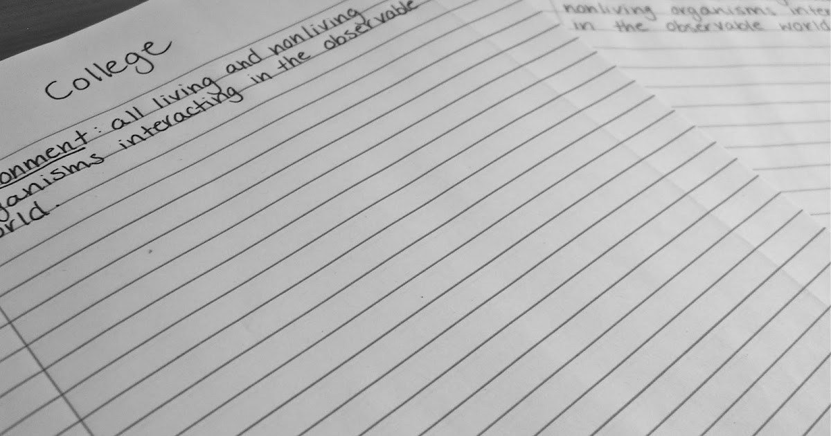 Be EGOlogical College vs Wide Ruled Paper