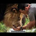 Kevin Richardson - Dangerous Companions