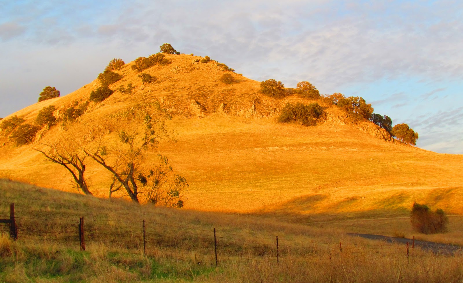 Adventures of a Vagabond Volunteer Meet the Sutter Buttes