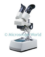 Single magnification stereo microscope MW1-L2.