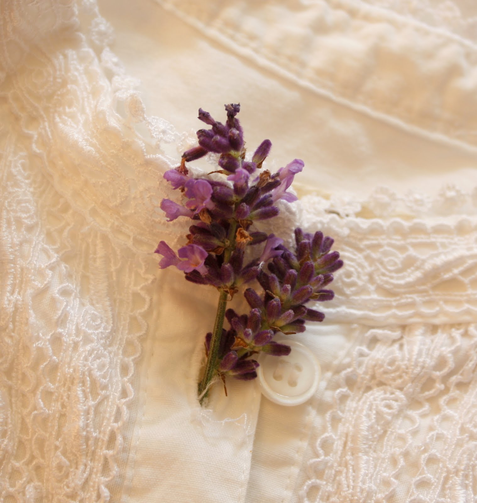 http://4.bp.blogspot.com/-OtABX0azgGU/TicXvIE_VQI/AAAAAAAAF7M/GCO01k_r18s/s1600/nightgowns+and+lavender+1.jpg