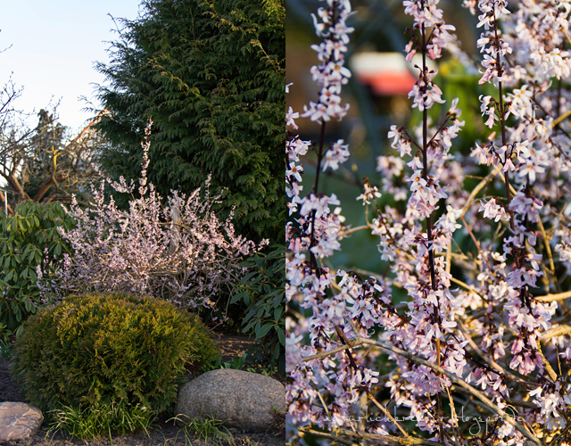 Der Garten Im März natuerlichkreativ lust auf garten und bench photo Der Garten Im März natuerlichkreativ lust auf garten und bench photo