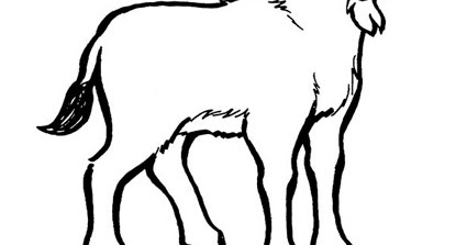 Goats Coloring Pages - Colouring for Kids