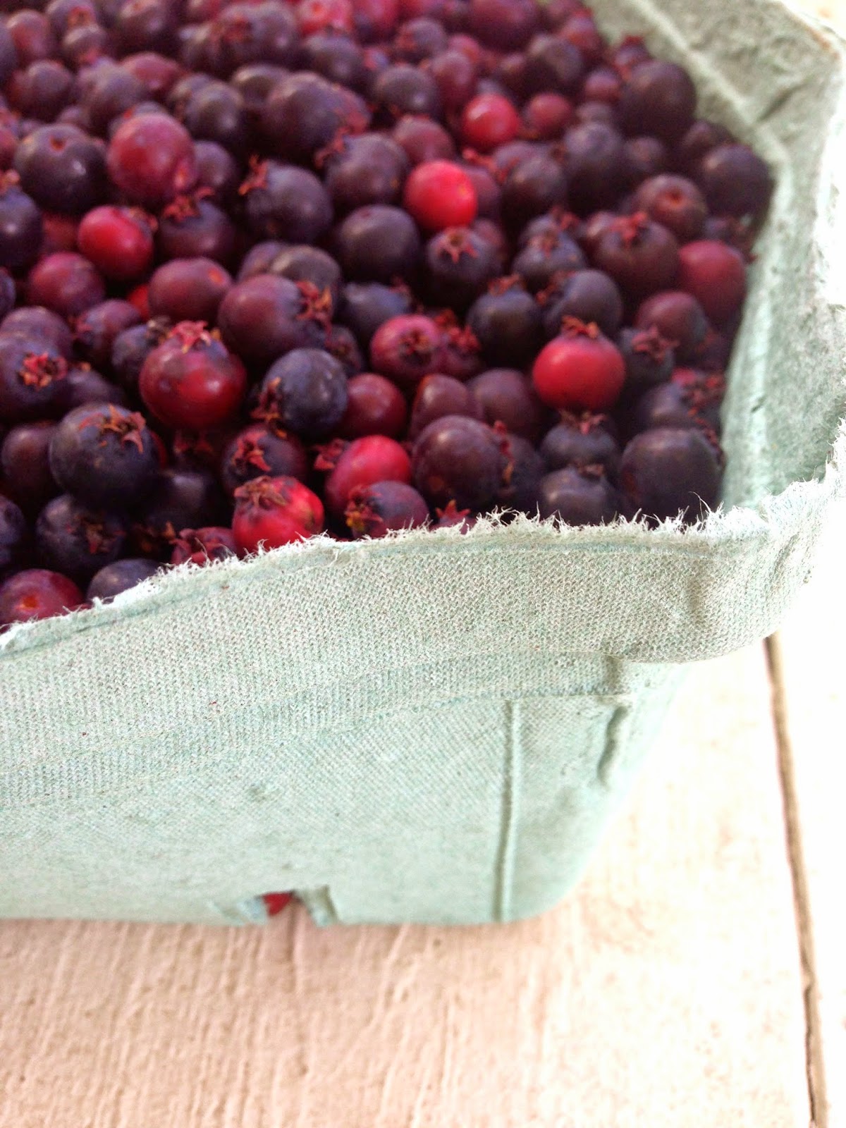 saskatoon berry vinagriette