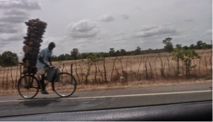 nord du sri lanka vélo au sri lanka
