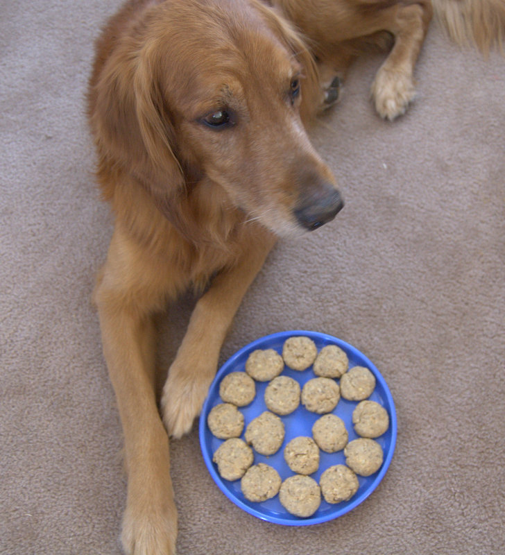 Secret Recipe Club Peanut Butter & Oatmeal Dog Biscuits 365 Days of