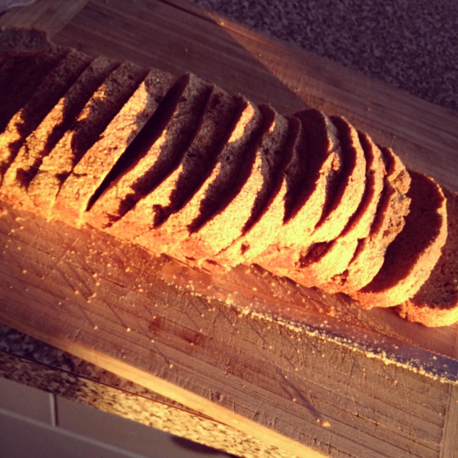 pinksnowshoesalaskagirl Kneading Some Gluten free Bread