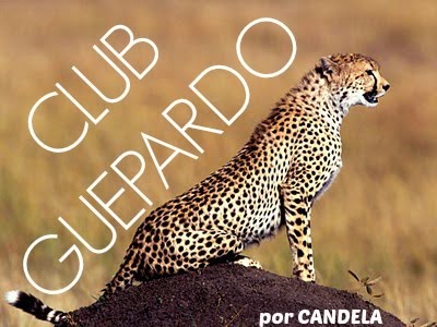 | CLUB GUEPARDO |
