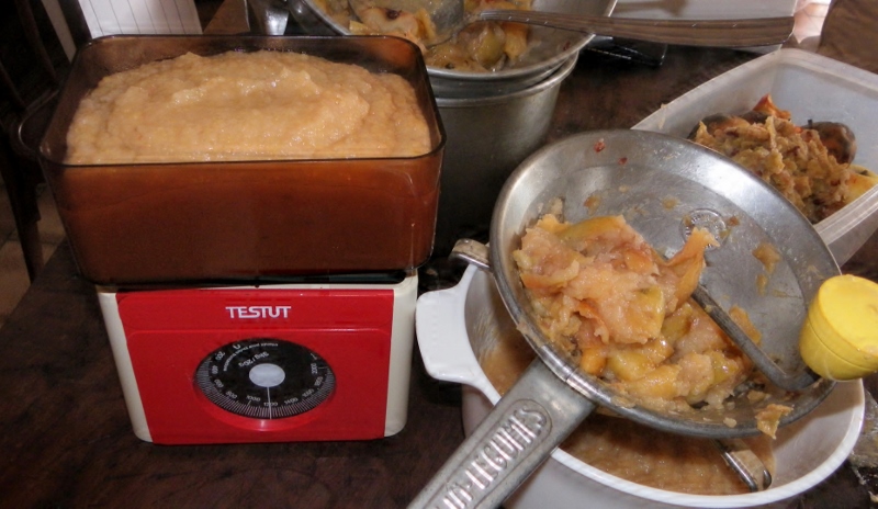 Je suis tombée dans les pommes recette de la pâte de fruits par Ama chez.xyz Je suis tombée dans les pommes recette de la pâte de fruits par Ama chez.xyz