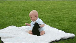 gif gif