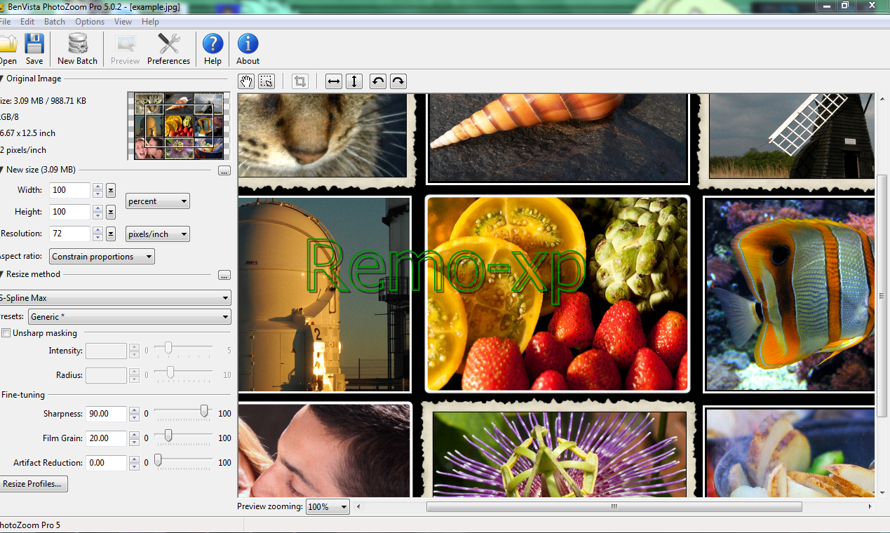 Photozoom pro 2.3 portable