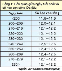 Bảng 1: Liên quan giữa ngày tuổi phối và số heo con sống lứa đầu
