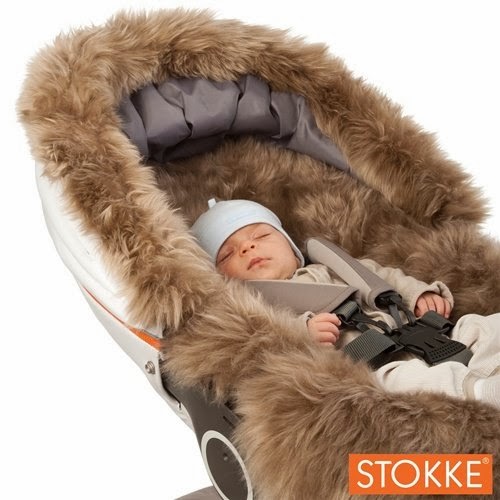 2 Köpek &amp; 1 Bebek Bebek Arabası Seçimi Stokke