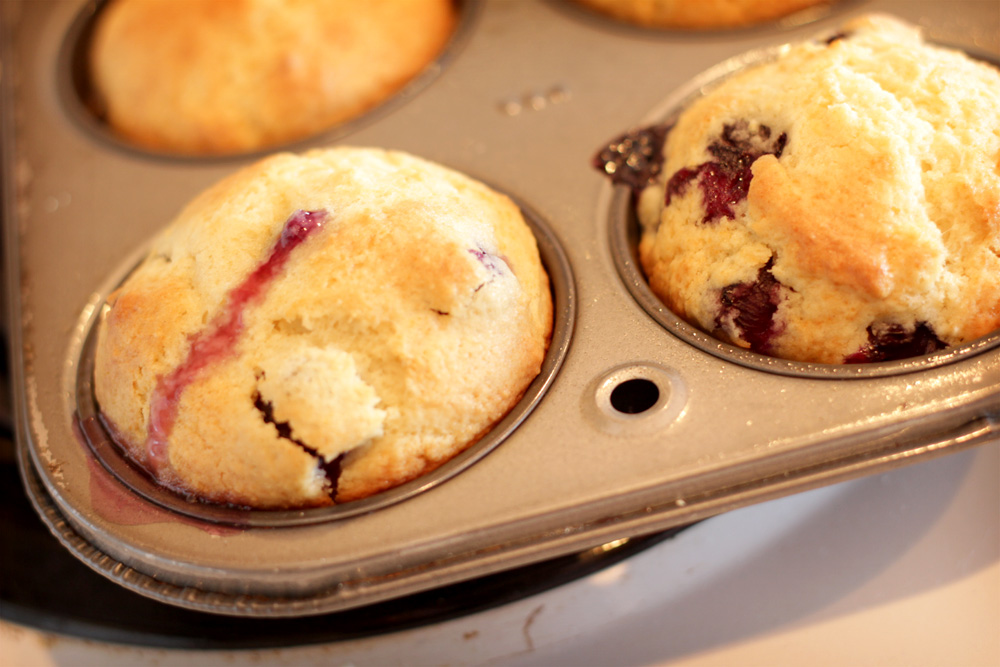 Beautiful Muffins