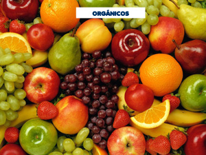 los alimentos orgánicos los alimentos orgánicos