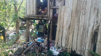Pak Rahim Selalu Diejek "Beruk Dah Sampai, Beruk Dah Sampai" Pak Rahim Selalu Diejek "Beruk Dah Sampai, Beruk Dah Sampai"