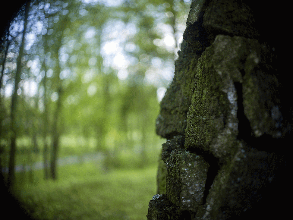 Tevidon 16/1.8 - f1.4-16 animation Tevidon 16/1.8 - f1.4-16 animation