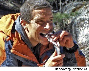 beargrylls.jpg
