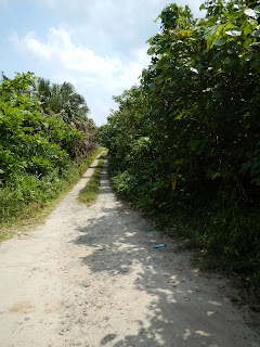 We didn't get bogged though! Sandy lane in the jungle