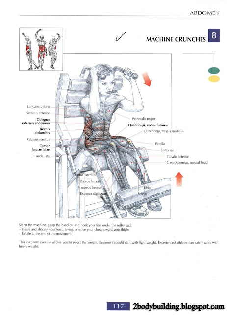 أهم تمارين لشد وتقوية عضلات البطن  Abdominal+117