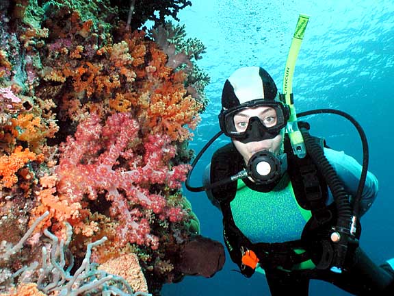 Wakatobi Island