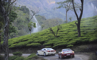 Ferrari India Green Cars Full HD Nature Background Wallpaper for Laptop Widescreen