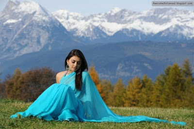 Hansika Motwani Hot and Beautiful photos in saree
