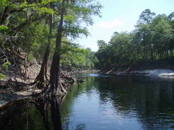 Swanee River