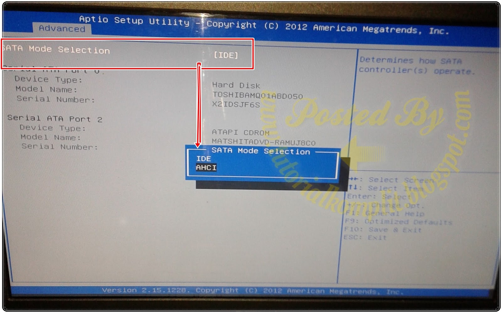 Windows Xp Serial Keys