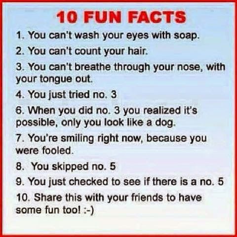 rainbowdiary: Joke - 10 Fun Facts Of Life