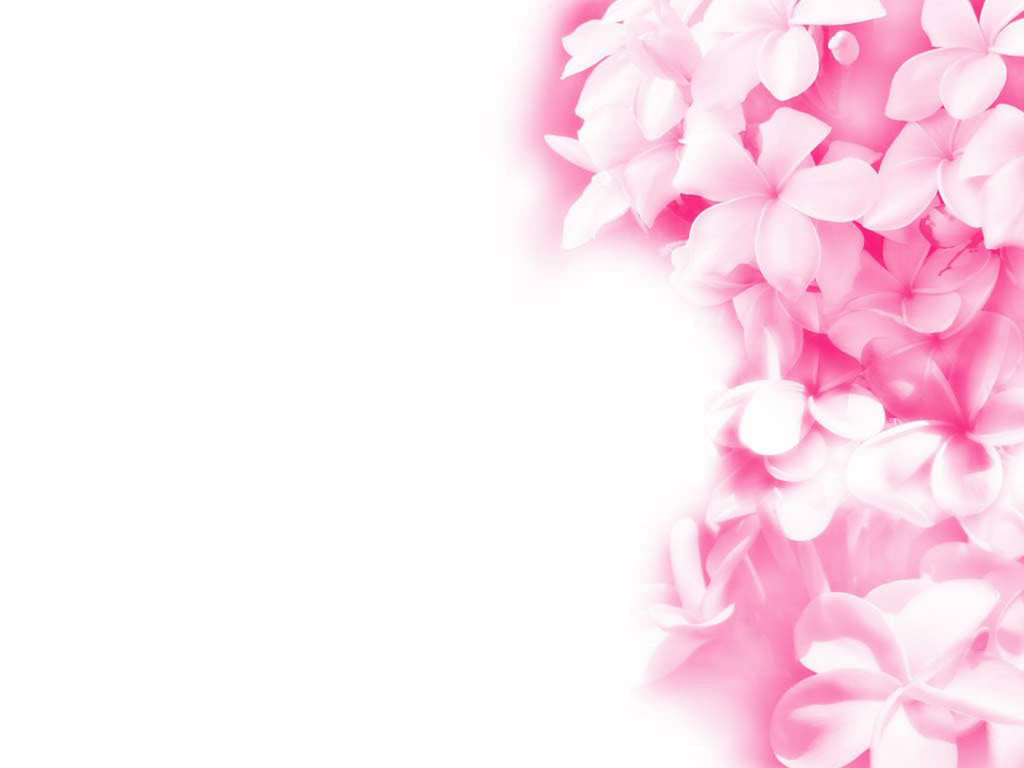 Modern Pink Wallpaper Wallpaper Cartoon