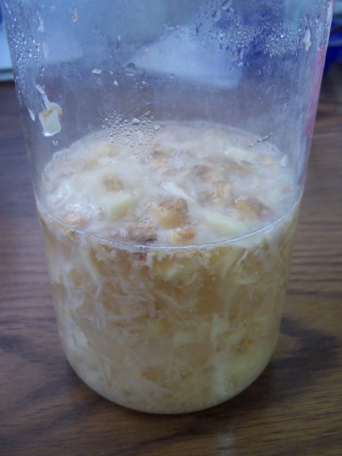 How to Make Homemade Fermented Soda with a Ginger Bug Penniless Parenting