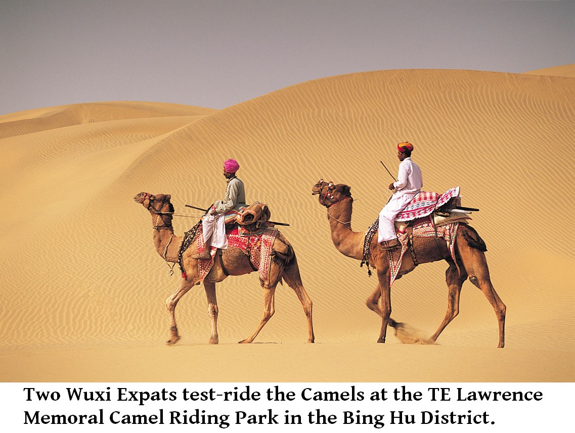 black camel rider