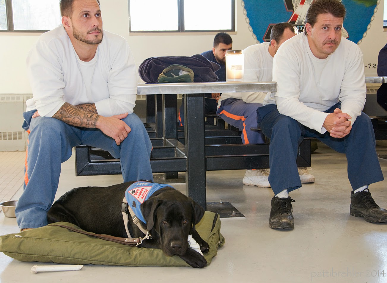A black lab is lying on a thick green mat between the legs of his raiser, who is sitting on a lunchroom table stool. The man is on the left side of the table and is wearing blue prison pants and a long sleeved white shirt. His elbows are resting on his knees and he is looking up toward the right. A second man is sitting on the stool opposite on the right. He is also wearing the blue prison pants and a long-sleeved white shirt. This man also has his elbows on his knees leaning forward with his hands clasped. He is looking at the camera. In the background are two other men sitting at another table. The puppy is wearing the blue Future Leader Dog bandana and has a white Nylabone chew toy between his front paws, and a second one on the tile floor next to his mat. The puppy's chin is resting on his right leg and he is looking at the camera.