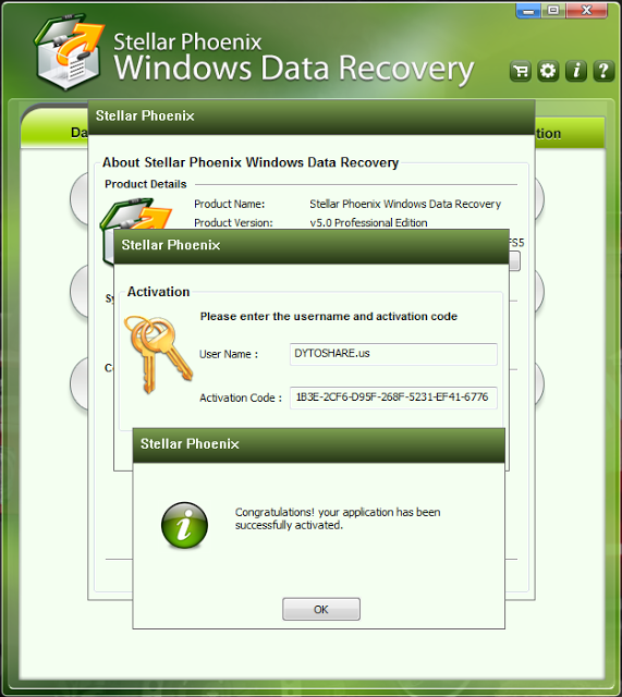 Stellar Phoenix Windows Data Recovery v5.0 Professional ...