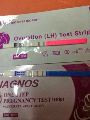4mm ,alat alat kesan kehamilan, bagaimana tentukan waktu subur ,berjaya hamil ,bunting pelanduk,cara kira waktu subur ,cheap ovulation test ,cheap pregnancy test ,countboost for men ,dah lama tidak ada anak, de aifa ,deaifa marketing, fertilaid, fertilaid for women, fertilaid malaysia ,hamil ,hamil2u ,hamil selepas haid ,hcg urine pregnancy test ,ingin hamil i,nginkan cahaya mata ,inginkan zuriat ,ingin mengandung ,jom hamil ,kesuburan ,kit ,lh ovulation test strip, makanan tambahan ,marihamil ,masalah haid tidak normal ,masalah hormon ,mengandung ,nak baby ,opk ,opk murah ,ovulasi ,wanita ,ovulation test, ovulation test murah, ovulation test rm1 ,pakej jimat ,period tapi hamil ,petua mudah hamil, petua mudah lekat ,posisi hamil ,positif opk ,pregnancy test ,pregnancy test malaysia,pregnancy test rm1, pregnant selepas keguguran, promosi upt ,quality pregnancy test, rawatan kehamilan, rm1, subur ,tanda ovulasi t,anda tanda awal kehamilan sebelum disahkan hamil, telur wanita, tester murah, test kehamilan murah, test kehamilan paling murah, test kesuburan paling murah ,ubat subur, upt ,upt berkualiti ,upt borong, upt double line, upt kualit,i upt murah ,upt negatif tetapi hamil ,upt rm1 ,upt samar ,upt samar tetapi hamil ,usaha mendapatkan zuriat ,waktu subur,upt harga borong, upt 60sen, opk 60 sen, borong 50sen, ejen dropship, bagaimana menggunakan ovulation test opk, bagaimana menggunakan pregnancy test, cara tentukan waktu subur bagi wanita haid tidak normal, berjaya hamil dengan opk. positif opk, positif ovulation test, positive pregnant