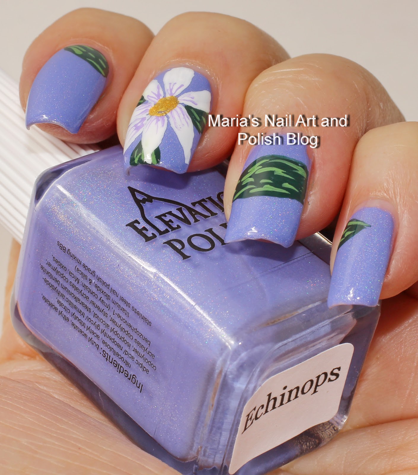 Marias Nail Art and Polish Blog Large floral nail art