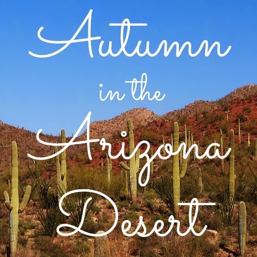 One World Homeschool Autumn In The Arizona Desert