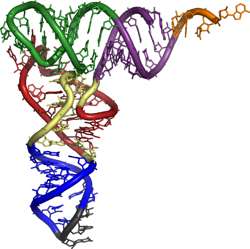 dna sythesis dna sythesis