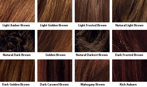 brown hair color chart - coloring