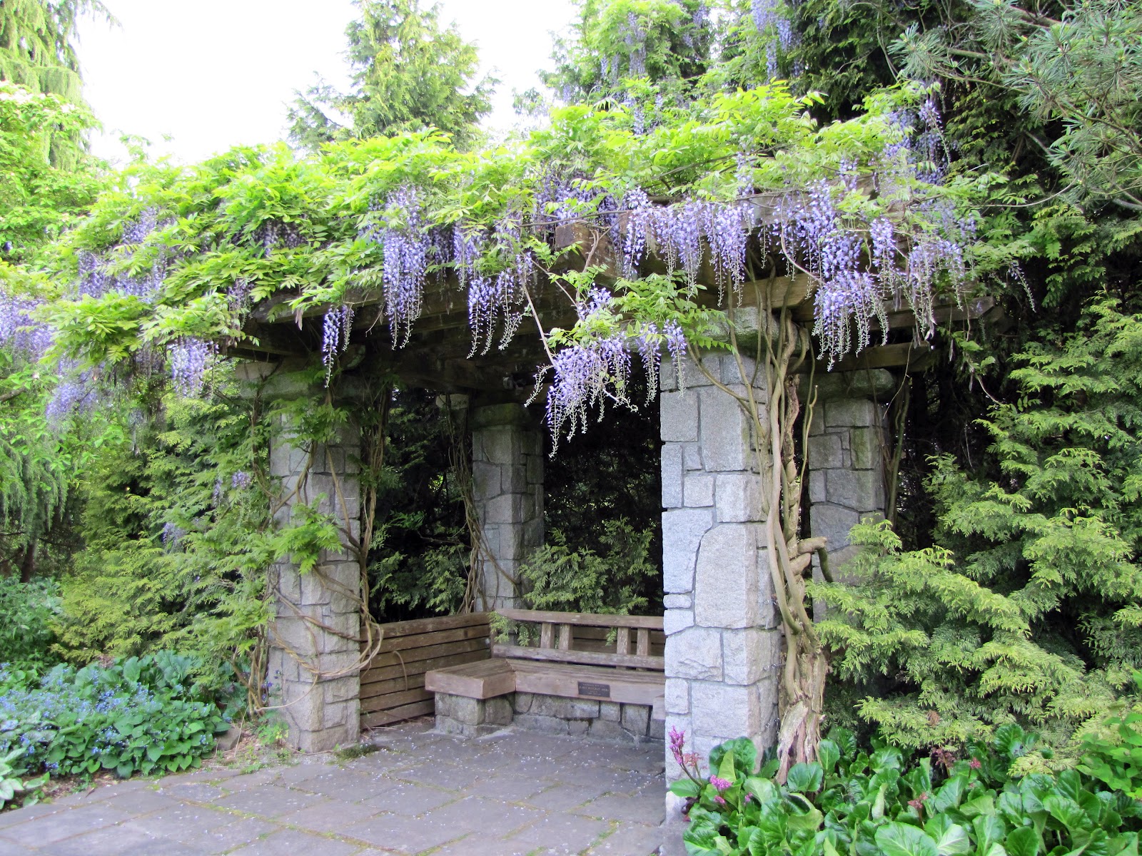 My Front Porch vancouver's van dusen gardens...