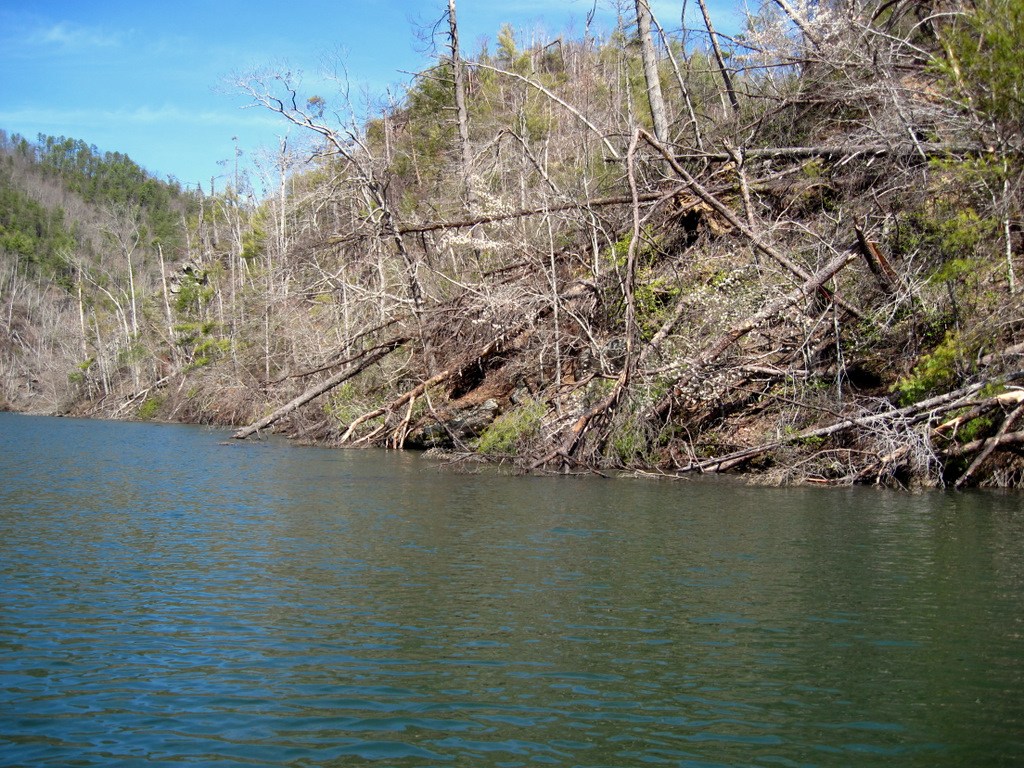 Gary's Outdoor Wanderings2 DAY OF SLOTH ON CHILHOWEE LAKE
