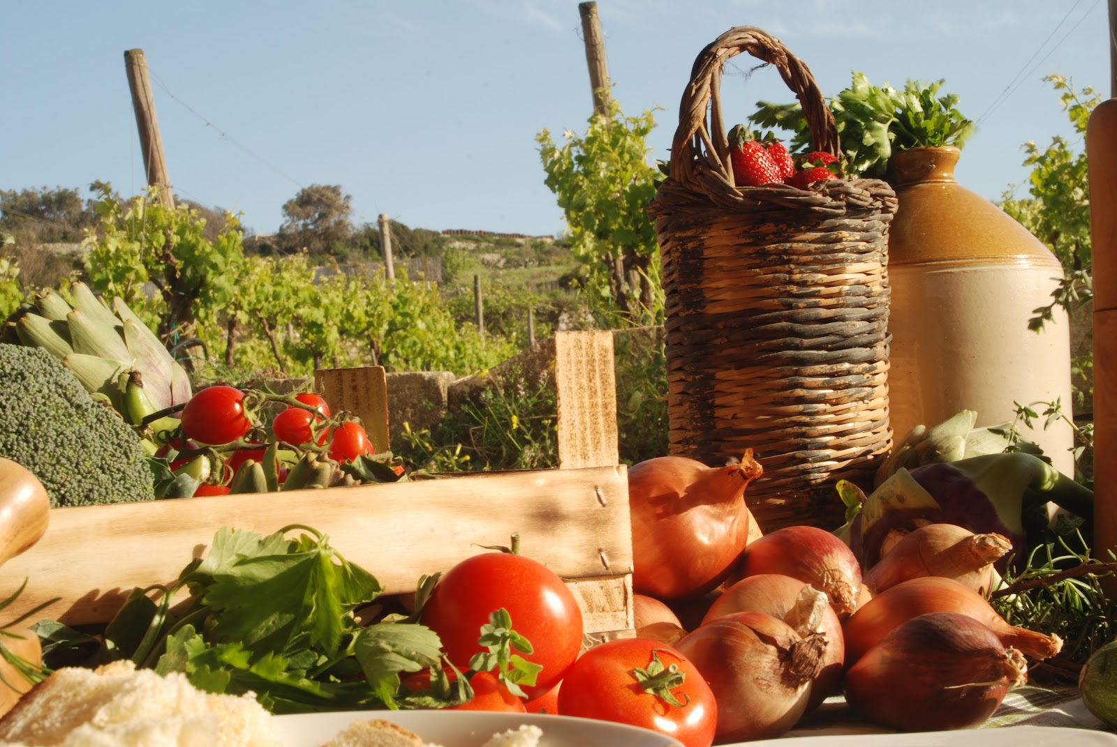 Merill Eco Tours Vines, Wines and Stunning views in Malta