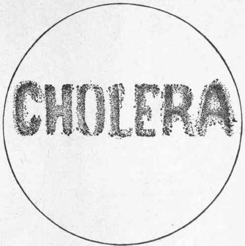 Doctor for Health: Treatment regimen of cholera Doctor for Health: Treatment regimen of cholera