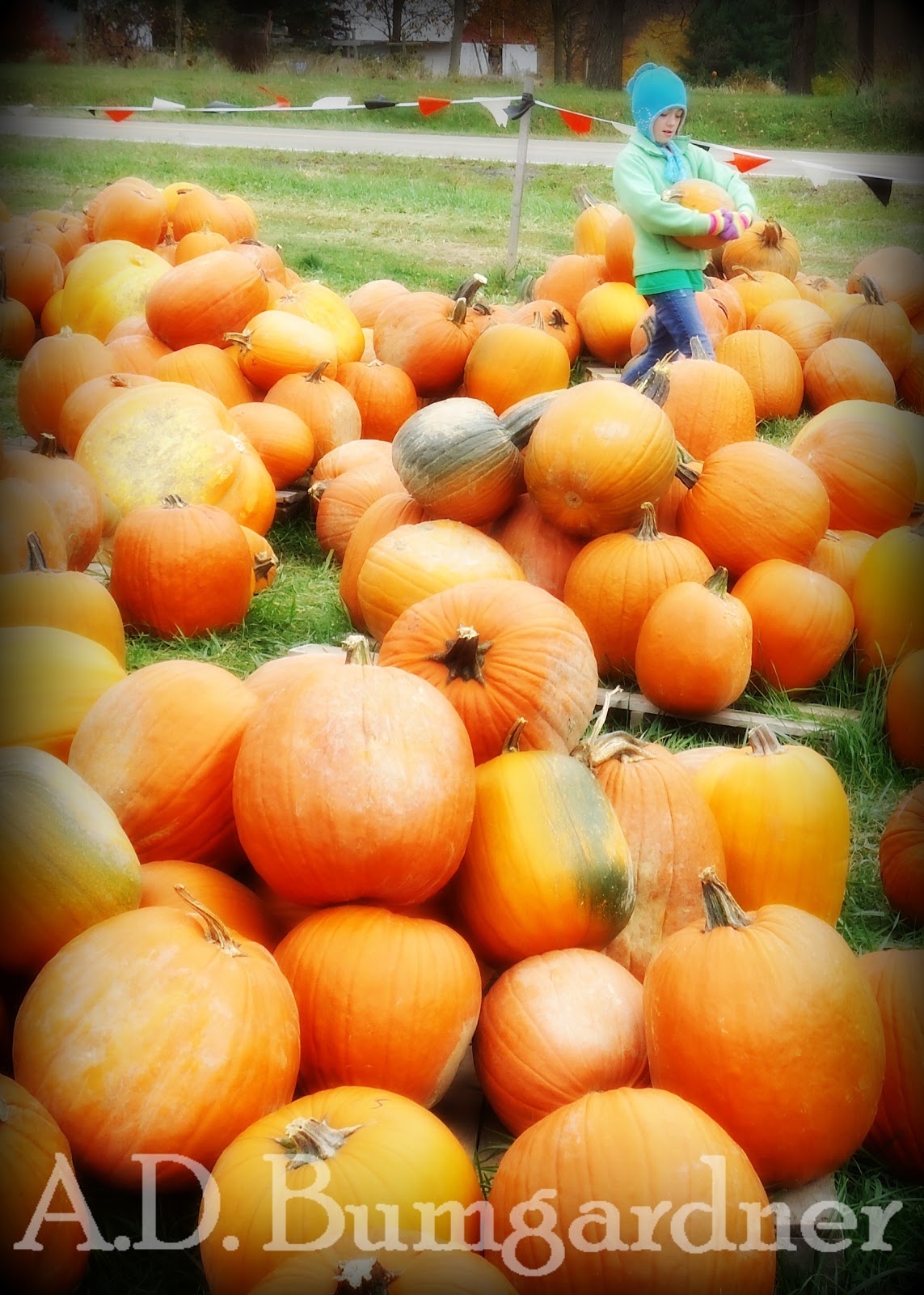 My life, in photos (mostly.): Pumpkin Patch with the Family: Set 3
