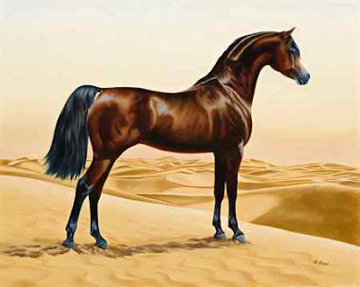 Baby Arabian Horses